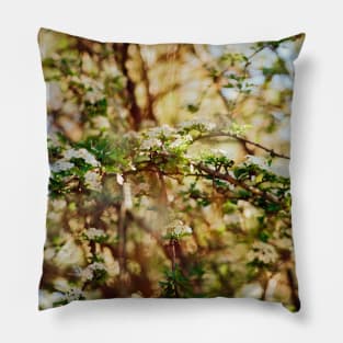 SCENERY 36 - Plant Blooming Flower Branch Tree Pillow