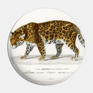 Jaguar (1892) Pin