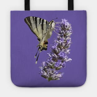 Side View Of Scarce Swallowtail Butterfly Feeding On Lilac Tote