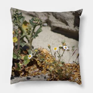 Closeup of Small Desert Wildflowers Pillow