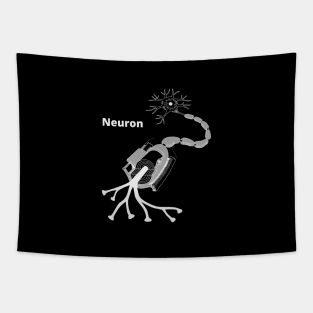 Neuron synapse anatomical structure Tapestry