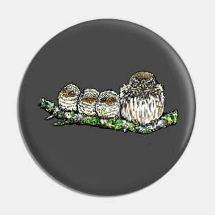 Pygmy Puffballs Northern Pygmy-owl Pin