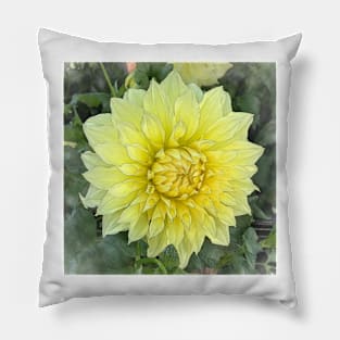 Dahlia Bloom Of Soft Yellow Pillow