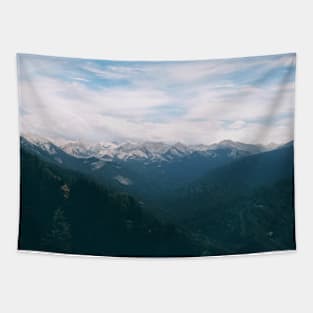 Snowy Mountain View Tapestry