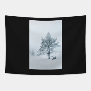 White Winter - Snow-Covered Bench and Tree in Norwegian National Park Tapestry