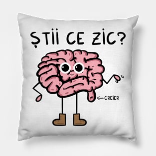 stii ce zic Pillow