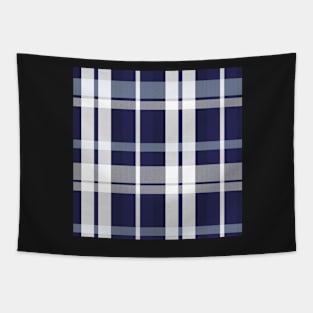 Winter Aesthetic  Aillith 1 Hand Drawn Textured Plaid Pattern Tapestry