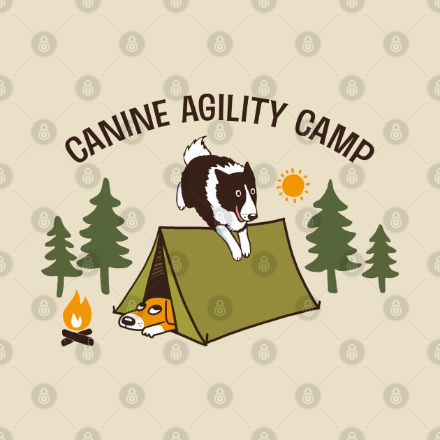 Canine Agility Camp | Border Collie Dog Agility by Coffee Squirrel