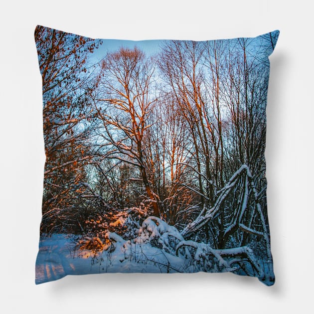 Winter landscape - frosty trees in snowy forest in the sunny morning. Tranquil winter nature in sunlight Pillow by Olga Berlet