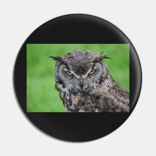 Great Horned Owl Pin