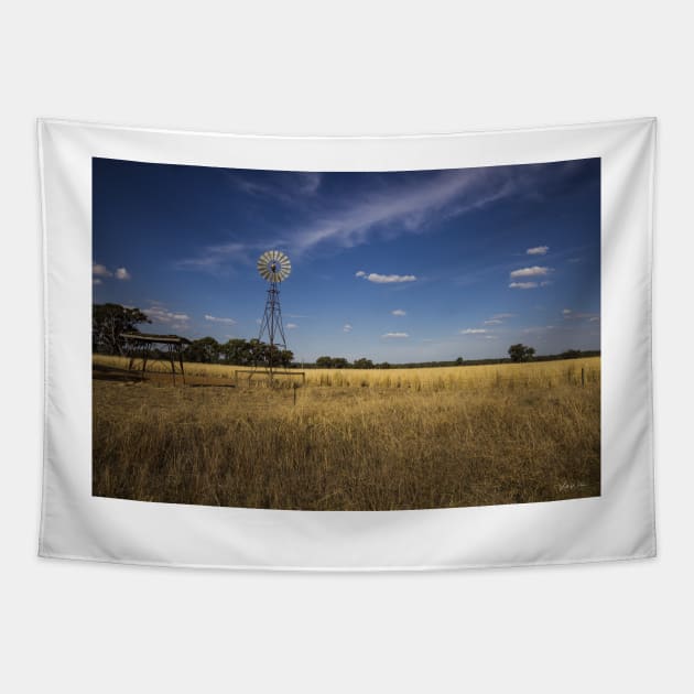 Windmill, Yarrawonga, Victoria, Australia. Tapestry by VickiWalsh