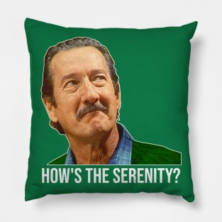 Darryl Kerrigan // How's The Serenity? The Castle Fan Pillow