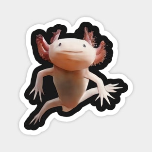 Axolotl motif realistic Magnet