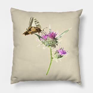 Scarce Swallowtail Butterfly Resting On Thistle Flower Pillow