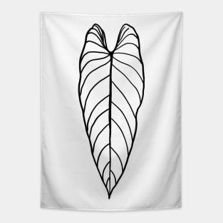 Philodendron melanochrysum Tapestry