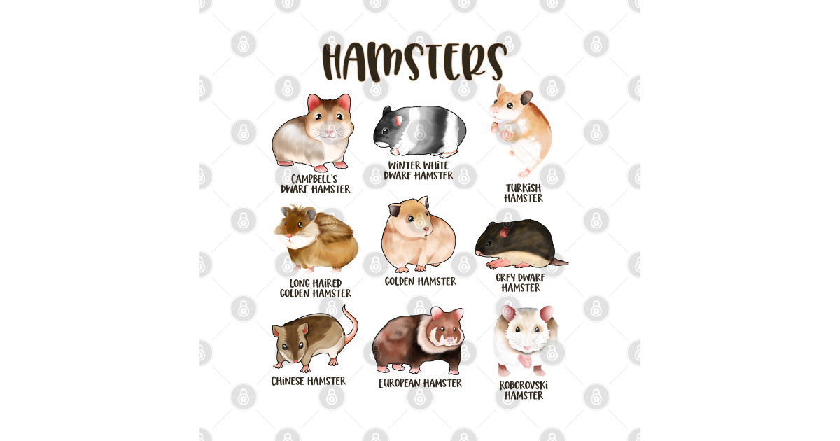 Many different hamsters - types of hamsters - Hamsters - T-Shirt ...