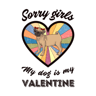 Sorry girls my dog is my Valentine - a retro vintage design T-Shirt