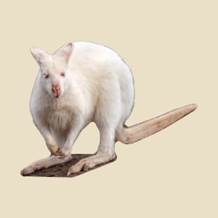 Albino Wallaby T-Shirt