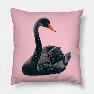 Black Swan Pillow