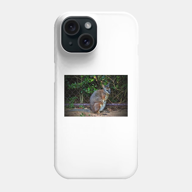 Red Necked Wallaby Phone Case by Cynthia48