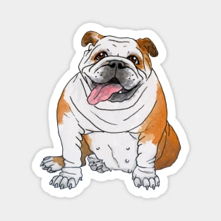 English Bulldog Magnet