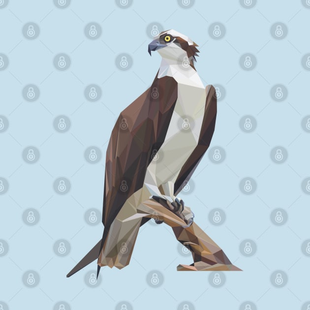 Osprey by StephenWillisArt