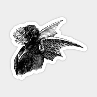 Vintage flower man with dragon wings Magnet