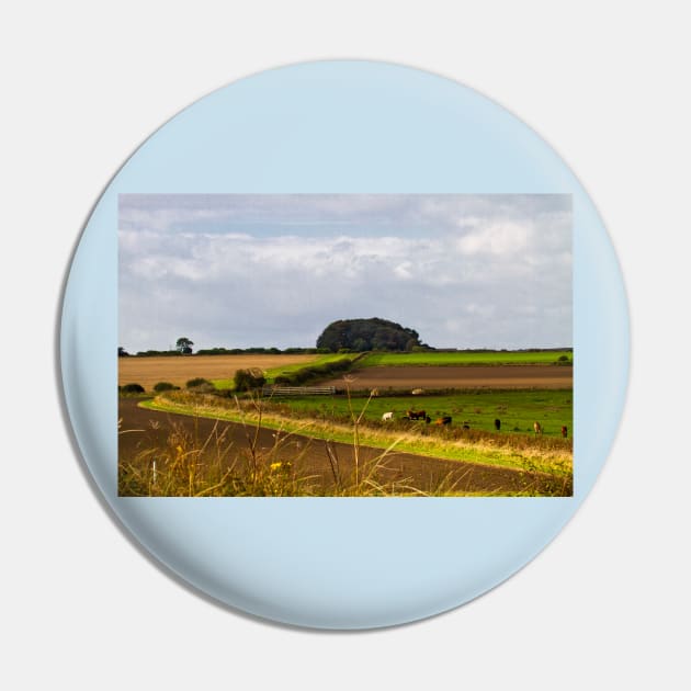 Copse on the horizon Pin by Violaman