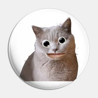 Googly Eyes Cat Pin