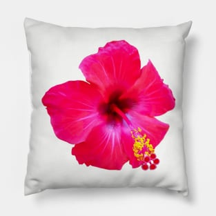 Red Hibiscus Floral Photo Beach Vibe Pillow