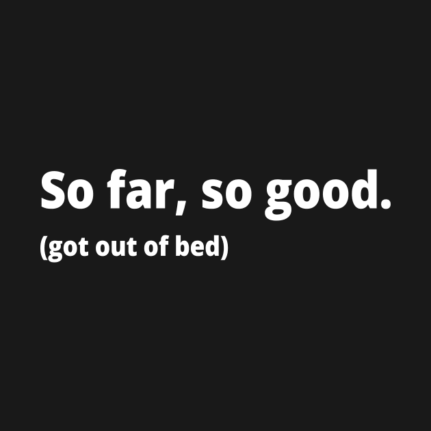 So far, so good. (got out of bed) by WittyChest