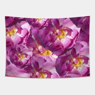 Roses Gentle Touch Tapestry