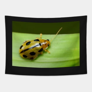 Unique and organic photo of a Yellow flea beetle Tapestry