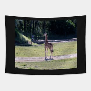 Baby Giraffe Tapestry