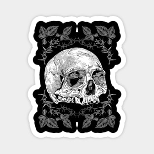 Skull Magnet