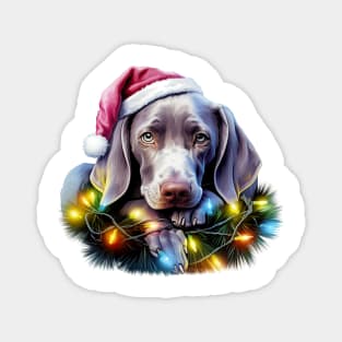 Lazy Weimaraner Dog at Christmas Magnet