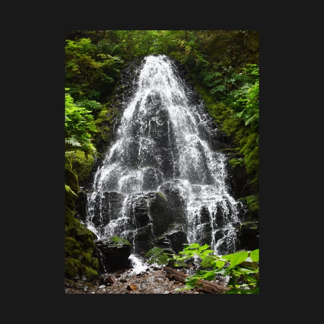 Fairy Falls on Wahkeena Trail by Steves-Pics