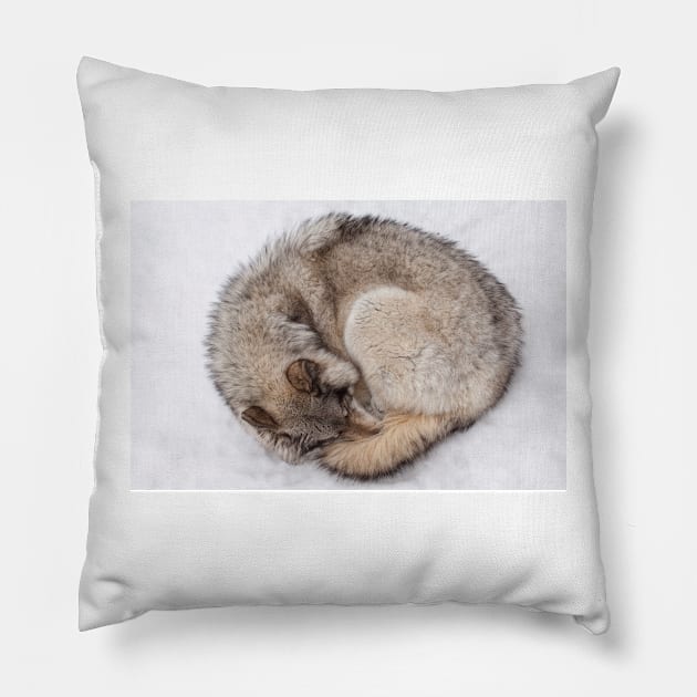 Ball of Wolf Pillow by Eunice1