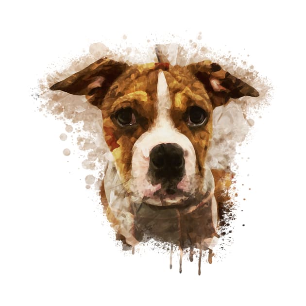 Boxer dog by Ginstore