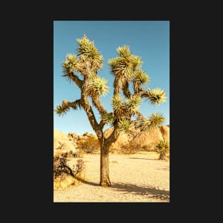 Joshua Tree T-Shirt