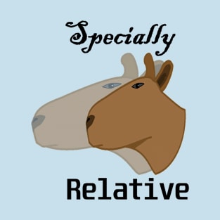 Special relativity T-Shirt