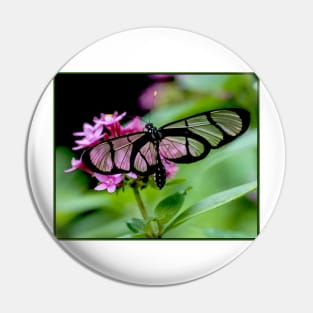 Glass Winged Butterfly Photograph Print Pin