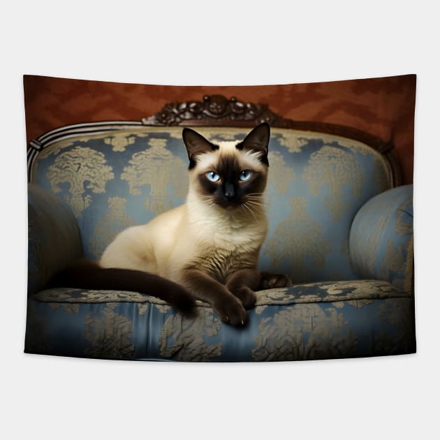 Siamese cat clearance coat
