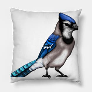 Cute Blue Jay Drawing Pillow