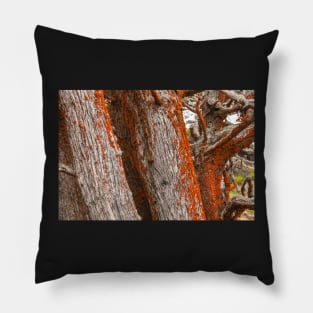 Trees and Moss Pillow