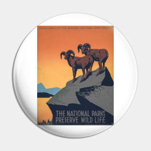 Vintage poster - National Parks Pin