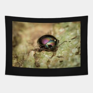 Unique and organic photo of a beautiful iridescent leaf beetle Tapestry