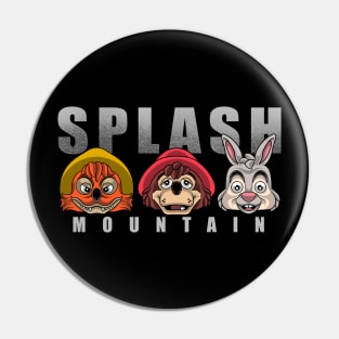 splash mountain Pin