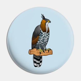 Ornate hawk eagle bird cartoon illustration Pin