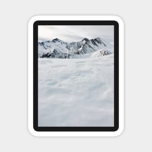 Mountains of Switzerland - White Swiss Alps on Overcast Winter Day Magnet